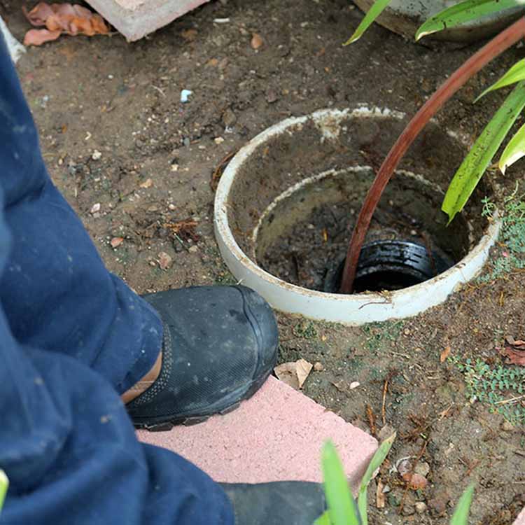 trenchless sewer repair in Tortolita, AZ